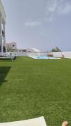 Top Cotillo