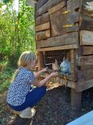 Chameleon Eco Farm Stay and Cultural Tours