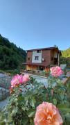 Top Rize