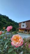 Top Rize