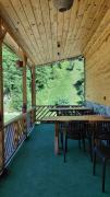 Top Rize