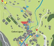 Top Calice Ligure
