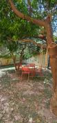 Top Calice Ligure