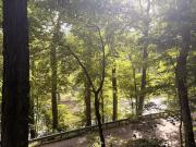 Top Tellico Plains