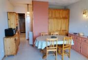 Top Aragnouet