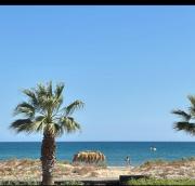 Top Porto Palo
