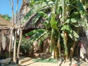 Top Zipolite
