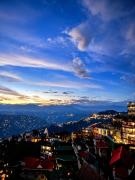 Top Darjeeling