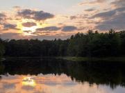 Top Rhinelander