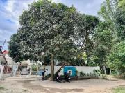 Top Tubtuban