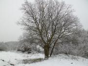 Top Santa Eulalia de Gállego