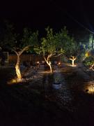 Top Pylos