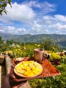 Top Binsar