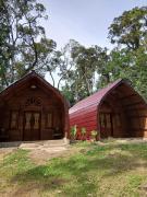 Top Bukit Lawang Top Bukit Lawang