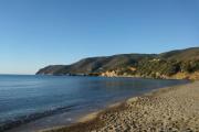 Top Lacona