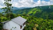 Top Vagamon