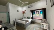 Top Udaipur