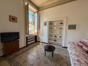 Top Parghelia
