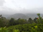 Top Vagamon