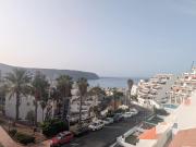 Top Arona