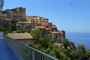Top Pisciotta