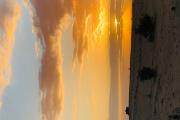 Top Jaisalmer