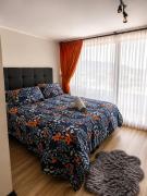 Arriendo departamento diario en temuco