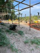 Top Phu Quoc