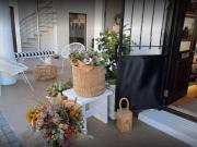 Top Plettenberg Bay