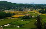 Top Ðồng Lễ (4)