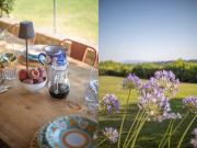 Top Magliano in Toscana