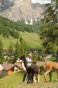 Top San Cassiano