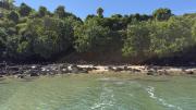 Mangrove Creek