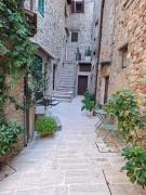Top Campiglia dʼOrcia