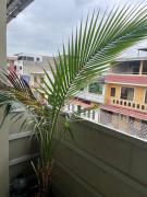Top Guayaquil