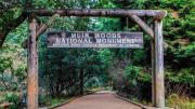 Top Mill Valley