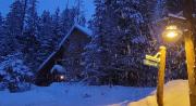 Top Whitefish