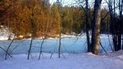 Top Whitefish