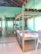 Top Alleppey Top Alleppey