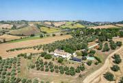 Top Senigallia