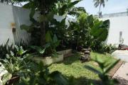Top Alleppey