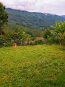 Top Kottakamboor
