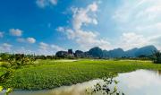 Top Ninh Binh