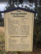 Top Nové Město