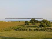 Top Rice Point