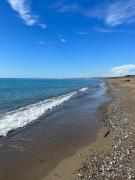 Top Marina di Bibbona Top Marina di Bibbona