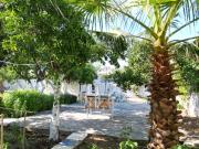 Top Bodrum City
