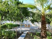 Top Bodrum City