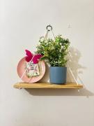 Top Dehradun Top Dehradun