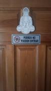 Top Yeste